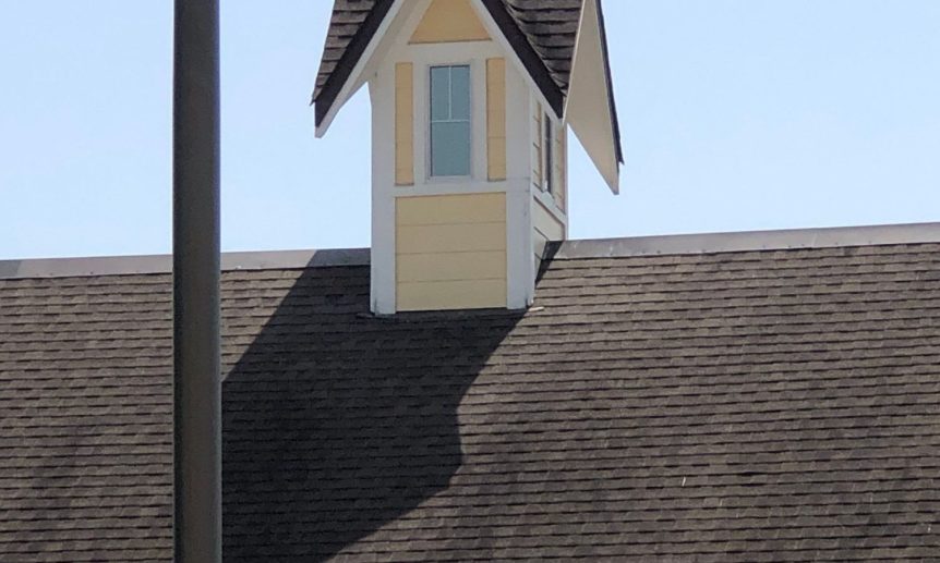 What are the signs that my roof needs washing